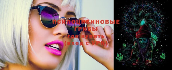 стафф Арсеньев