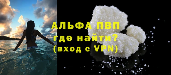 стафф Арсеньев