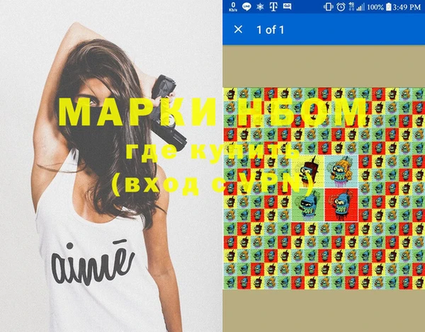 стафф Арсеньев
