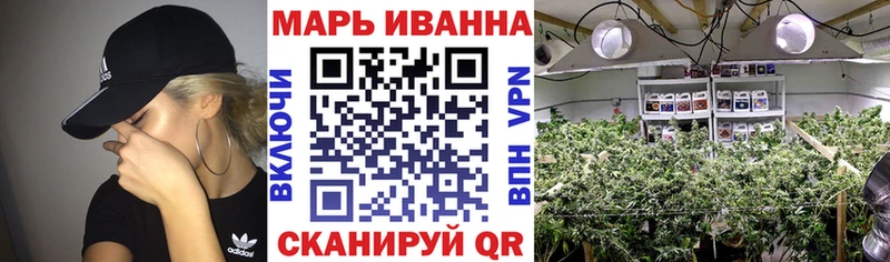 Конопля планчик  Купить закладки  Лениногорск 